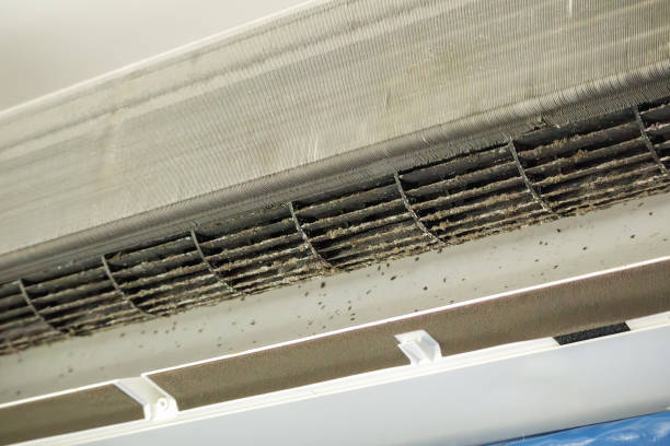 Best Air Duct Cleaning Near Me  in Hopewell, TN